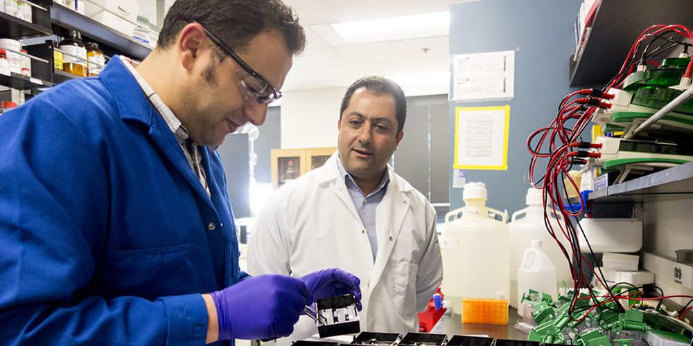 Dr Haj and Bettaieb