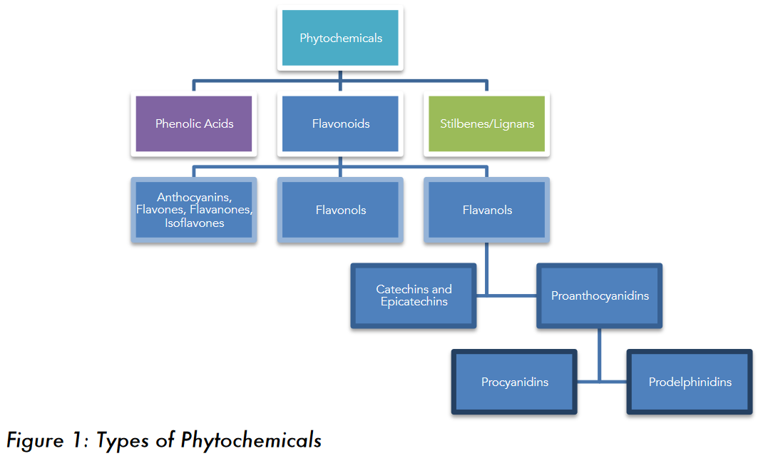 Figure 1: The different types of phytochemicals