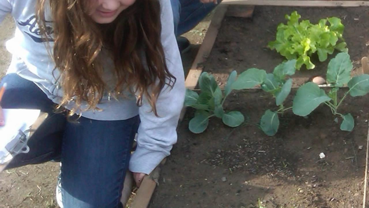 Kids gardening