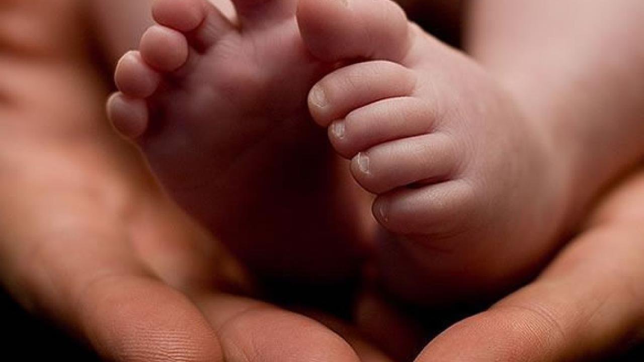 During children’s first 1,000 days, lipid-based supplements can significantly boost their growth and development. During children’s first 1,000 days, lipid-based supplements can significantly boost their growth and development.