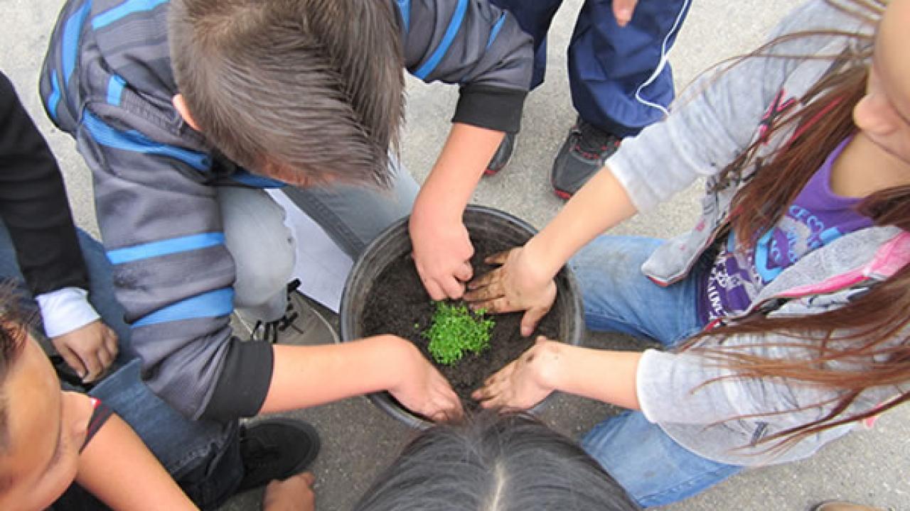 Kids planting a tree