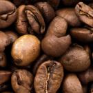 Coffee beans