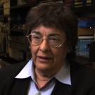 Judy Stern