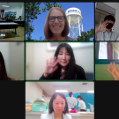 Members from UCD department of Nutrition on zoom call with Japanese students from Nagoya University of Arts and Sciences
