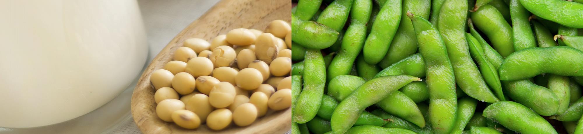 Soy milk and soy beans (edamame)